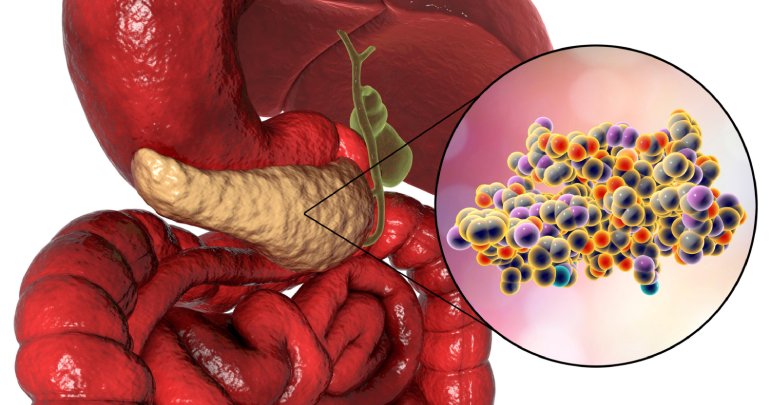 Organ function and fascial strain - Gillespie Approach–Craniosacral Fascial Therapy