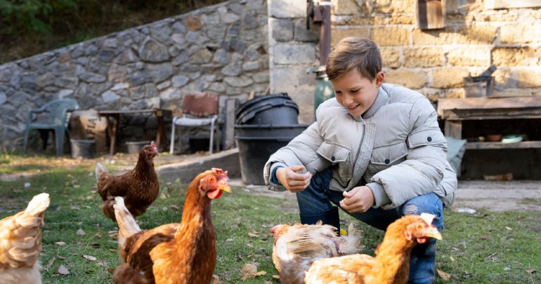 Healing is a process, not an event - boy feeding chickens - Gillespie Approach–Craniosacral Fascial Therapy