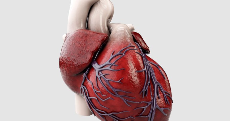Aging heart - Gillespie Approach–Craniosacral Fascial Therapy