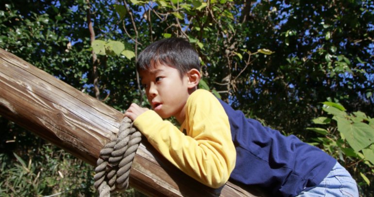 Endocrine function, executive cognitive function, orthodontics - boy on tree - Gillespie Approach–Craniosacral Fascial Therapy