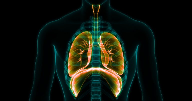 Orthodontic airway issues - illustration of airway and lungs - Gillespie Approach–Craniosacral Fascial Therapy