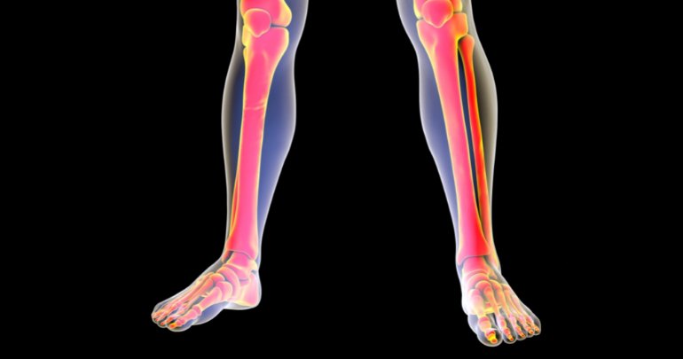 Ankle bone is connected to the knee bone - human leg anatomy illustration - Gillespie Approach–Craniosacral Fascial Therapy